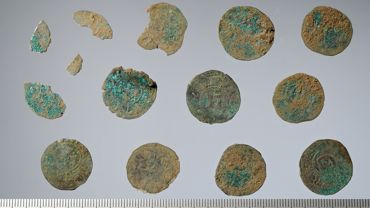 Einige der ca. 30 im Hort enthaltenen Münzen bzw. Fragmente. Nach erster Durchsicht im nichtrestauriertem Zustand stammen sie aus der Regierungszeit des dänischen Königs Waldemar II mit Beinamen „Sejr“ (der Sieger) (1202–1241).
