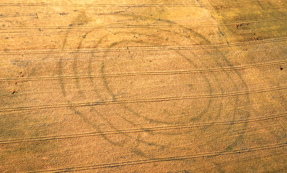 Blick auf ein Getreidefeld aus der Luft. Die neolthische Kreisgrabenanlage von Kyhna, Kr. Nordsachsen, ist anhand der Bewuchsmerkmale im Getreide gut zu erkennen. Sie hat etwa 135 Durchmesser.